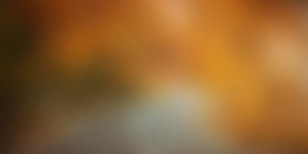 Μικρογραφία εισόδου