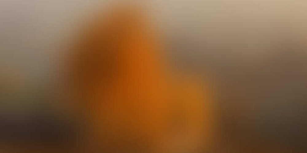 Μικρογραφία εισόδου