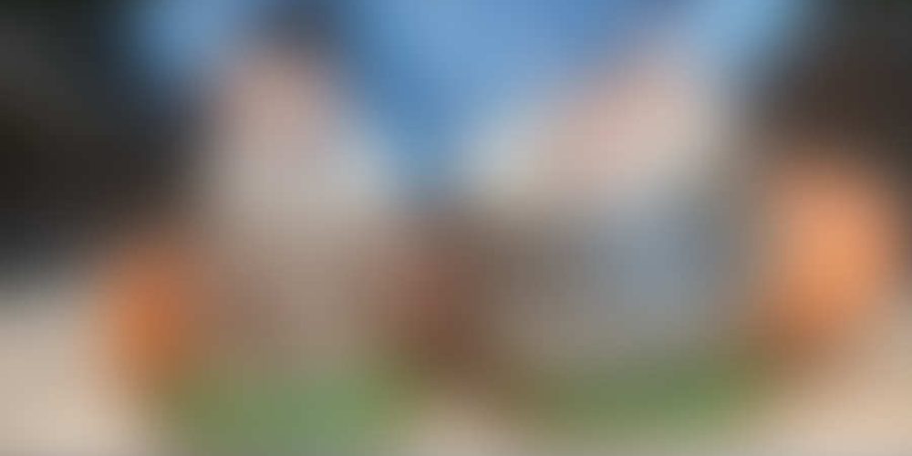 Μικρογραφία εισόδου