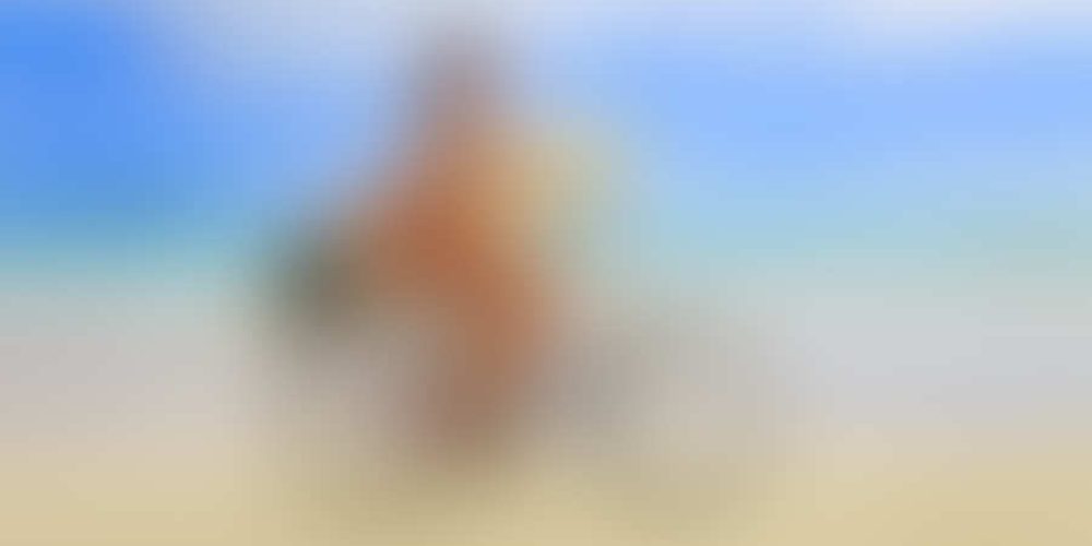 Μικρογραφία εισόδου