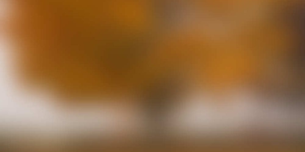 Μικρογραφία εισόδου