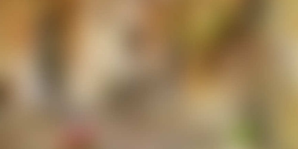 Μικρογραφία εισόδου