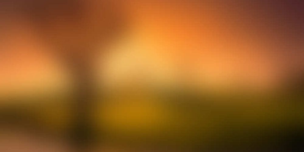 Μικρογραφία εισόδου