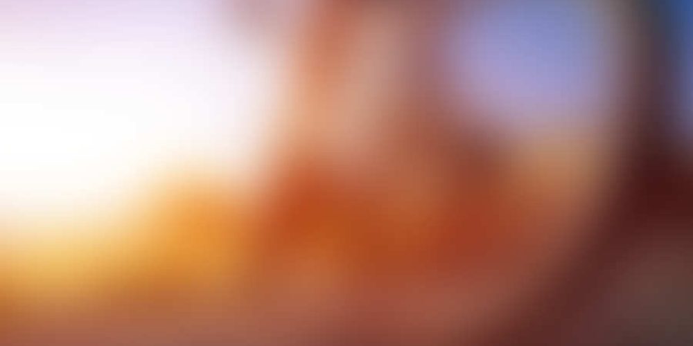 Μικρογραφία εισόδου